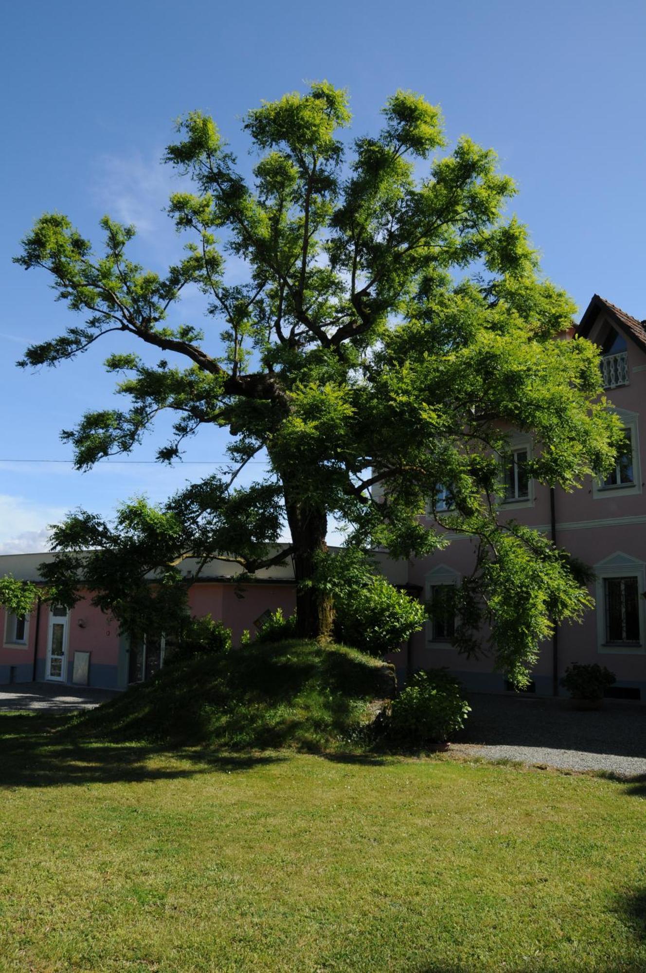 Villa Ester Tagliolo Monferrato Zewnętrze zdjęcie